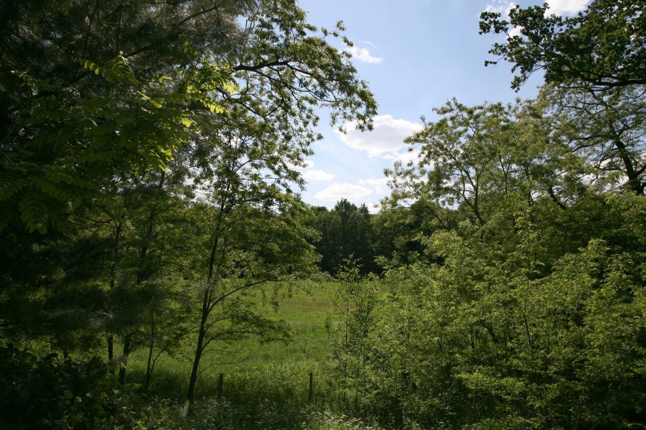 Landpension Germania Neuhausen  Экстерьер фото